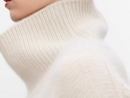 ELIANA I Pullover mit Rollkragen