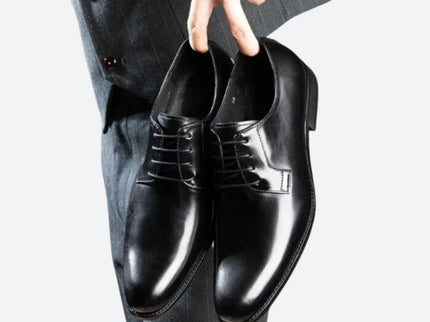Stilvolle italienische Leder-Spitzenschuhe - Darryl